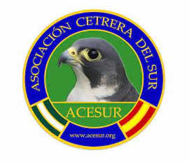ACESUR (Asociación Cetrera del Sur)